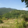 August 31, 2009 Today Vjeko and I did something wonderful. We went looking for «The Old Statue». This is a peak just to the south of the pilgrimage chapel of […]