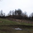 09.03.2010. Continuing our mop-up activities Vjeko and I did Ludbreg with Ivana and Vesna. We met them at the castle and went to see the church which we have never […]